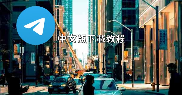 中文版下載教程