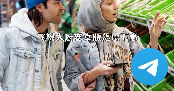 飞機大厨安卓版怎麼下載