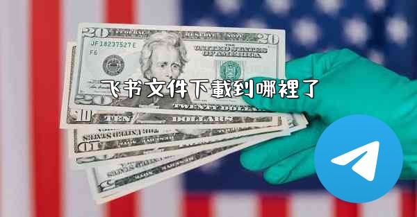 飞书文件下載到哪裡了