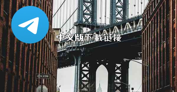 <b>中文版下載链接</b>