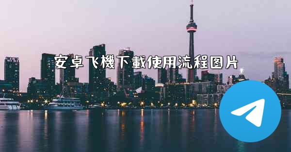 安卓飞機下載使用流程图片
