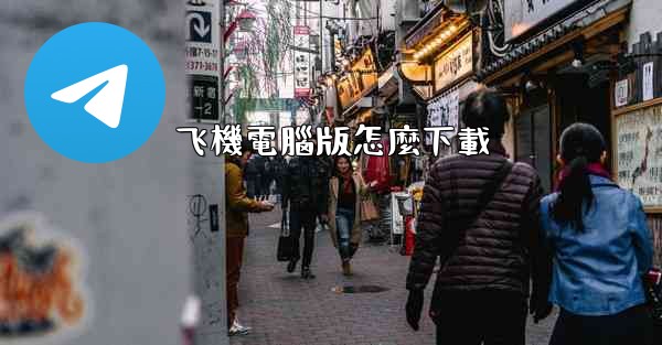 飞機電腦版怎麼下載