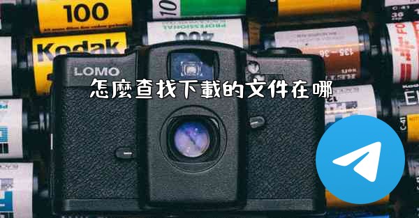 怎麼查找下載的文件在哪