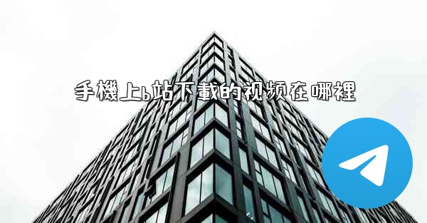 手機上b站下載的视频在哪裡