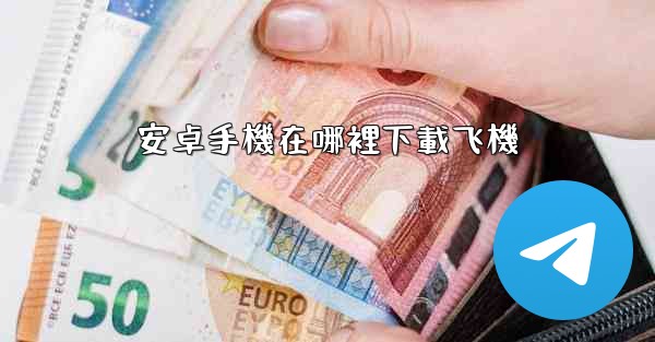 安卓手機在哪裡下載飞機