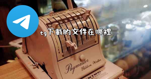 tg下載的文件在哪裡
