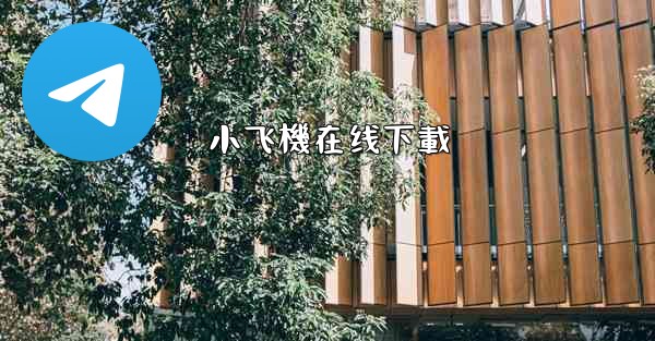 小飞機在线下載