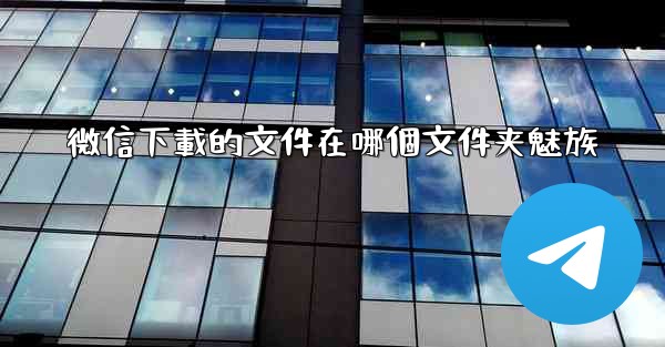 <b>微信下載的文件在哪個文件夹魅族</b>