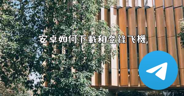 安卓如何下載和登錄飞機