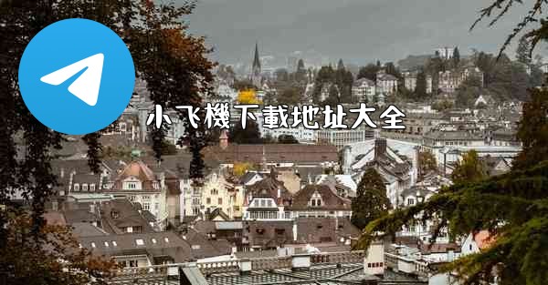 <b>小飞機下載地址大全</b>