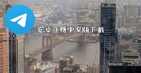 安卓飞機中文版下載