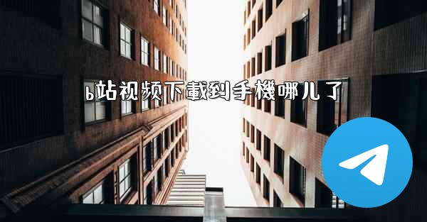 b站视频下載到手機哪儿了