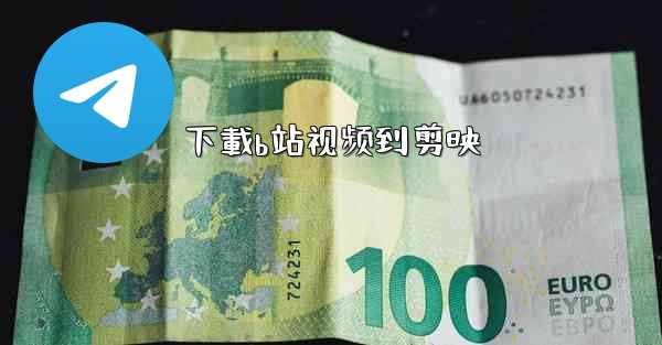 <b>下載b站视频到剪映</b>