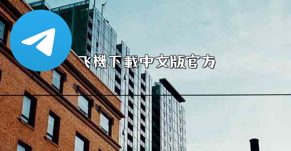 飞機下載中文版官方