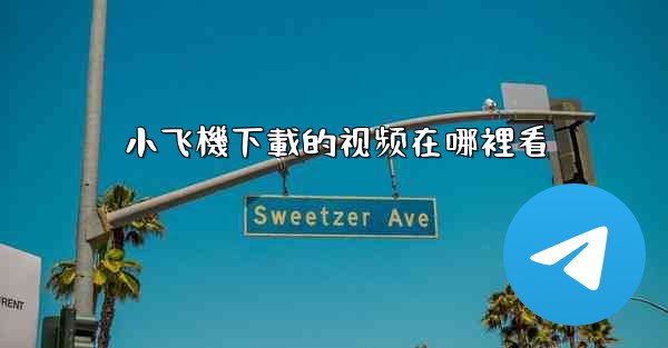 小飞機下載的视频在哪裡看