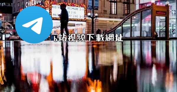 b站视频下載網址