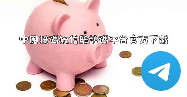 中國接碼短信驗證碼平台官方下載