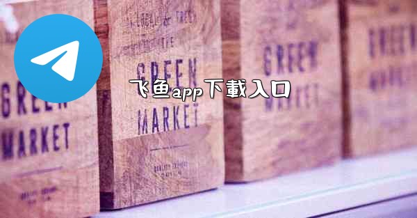 飞鱼app下載入口