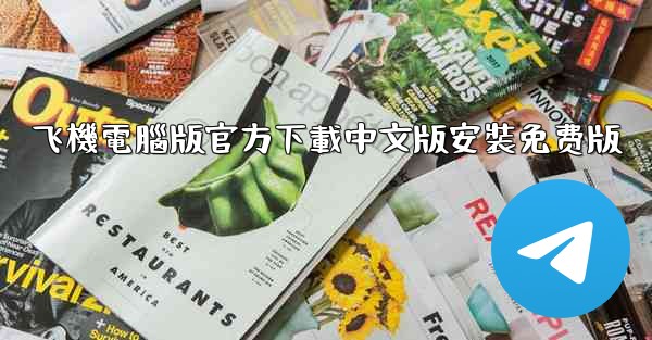 飞機電腦版官方下載中文版安裝免费版