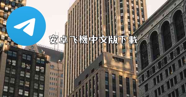 安卓飞機中文版下載