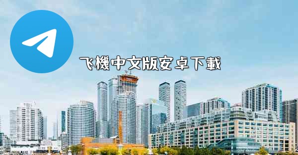 飞機中文版安卓下載