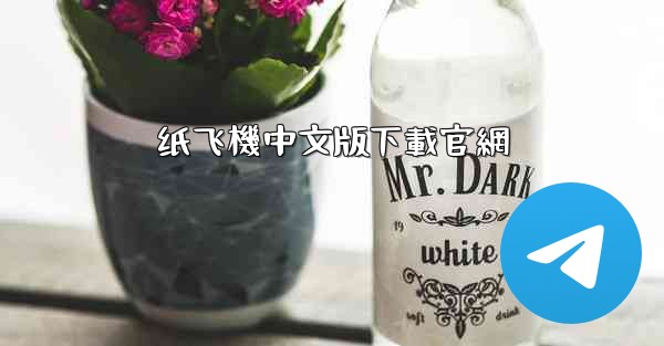 纸飞機中文版下載官網