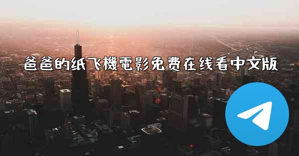 爸爸的纸飞機電影免费在线看中文版