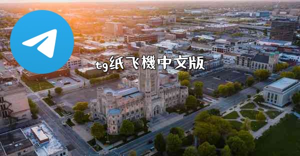 tg纸飞機中文版