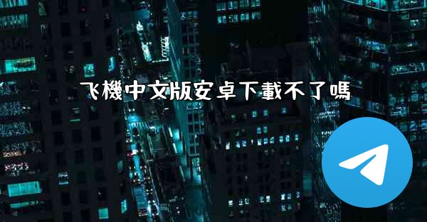 飞機中文版安卓下載不了嗎