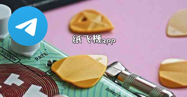 <b>纸飞機app</b>