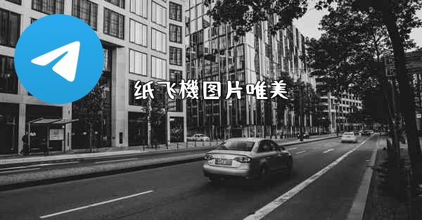 纸飞機图片唯美