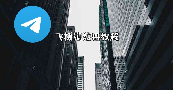 <b>飞機號註冊教程</b>