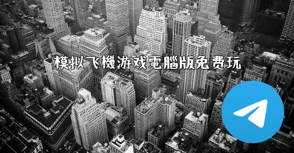 模拟飞機游戏電腦版免费玩