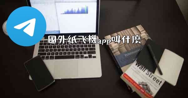 國外纸飞機app叫什麼