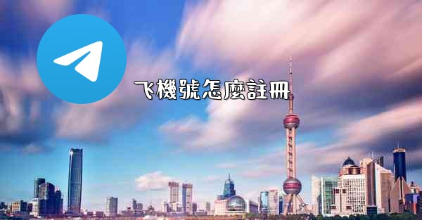 飞機號怎麼註冊