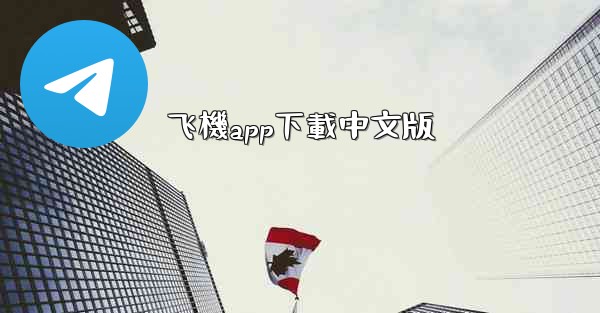 飞機app下載中文版