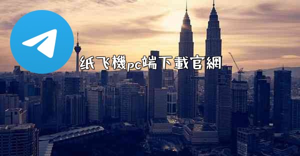 纸飞機pc端下載官網