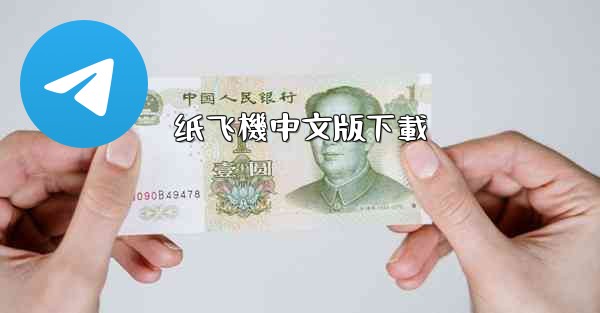 纸飞機中文版下載