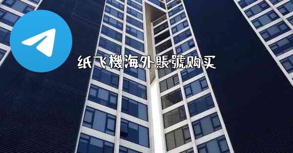 纸飞機海外賬號购买