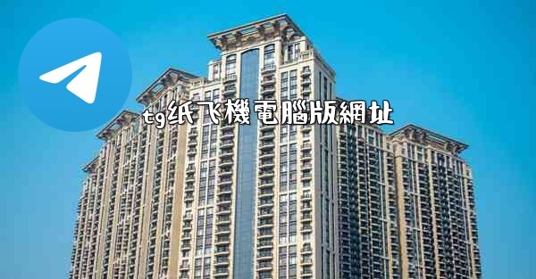 tg纸飞機電腦版網址