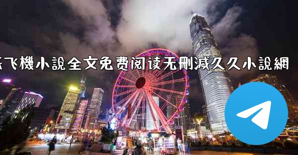 纸飞機小說全文免费阅读无刪減久久小說網