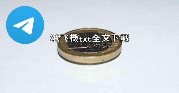 纸飞機txt全文下載