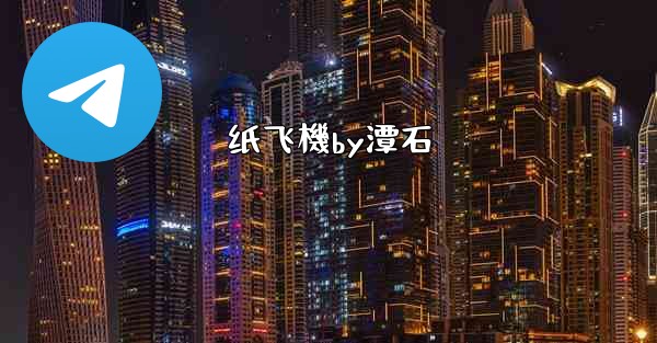 纸飞機by潭石