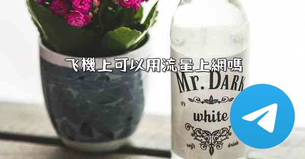 <b>飞機上可以用流量上網嗎</b>