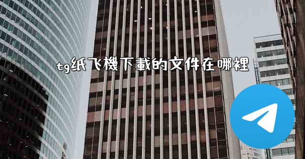 tg纸飞機下載的文件在哪裡