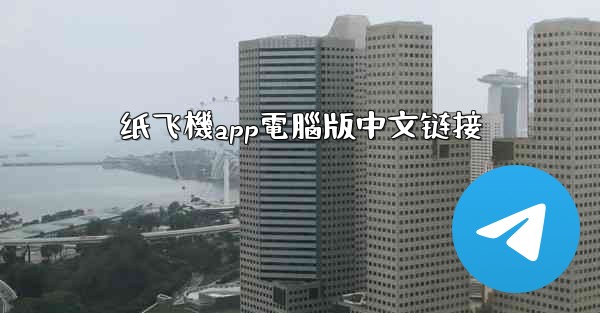 纸飞機app電腦版中文链接