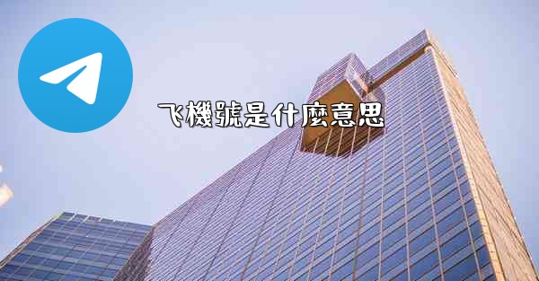 飞機號是什麼意思