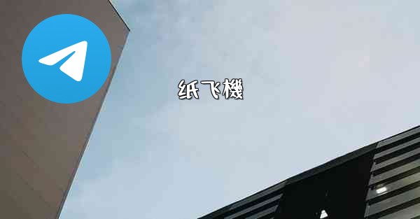 纸飞機