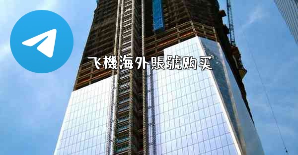 飞機海外賬號购买