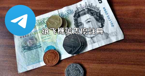 纸飞機號怎麼註冊